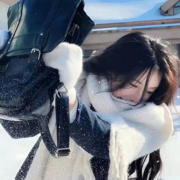 禁酒令